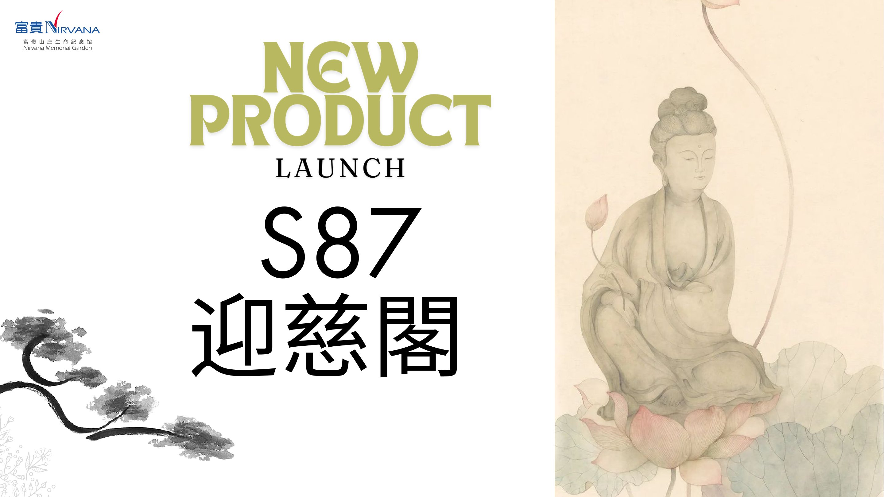 New Launch Suite 87