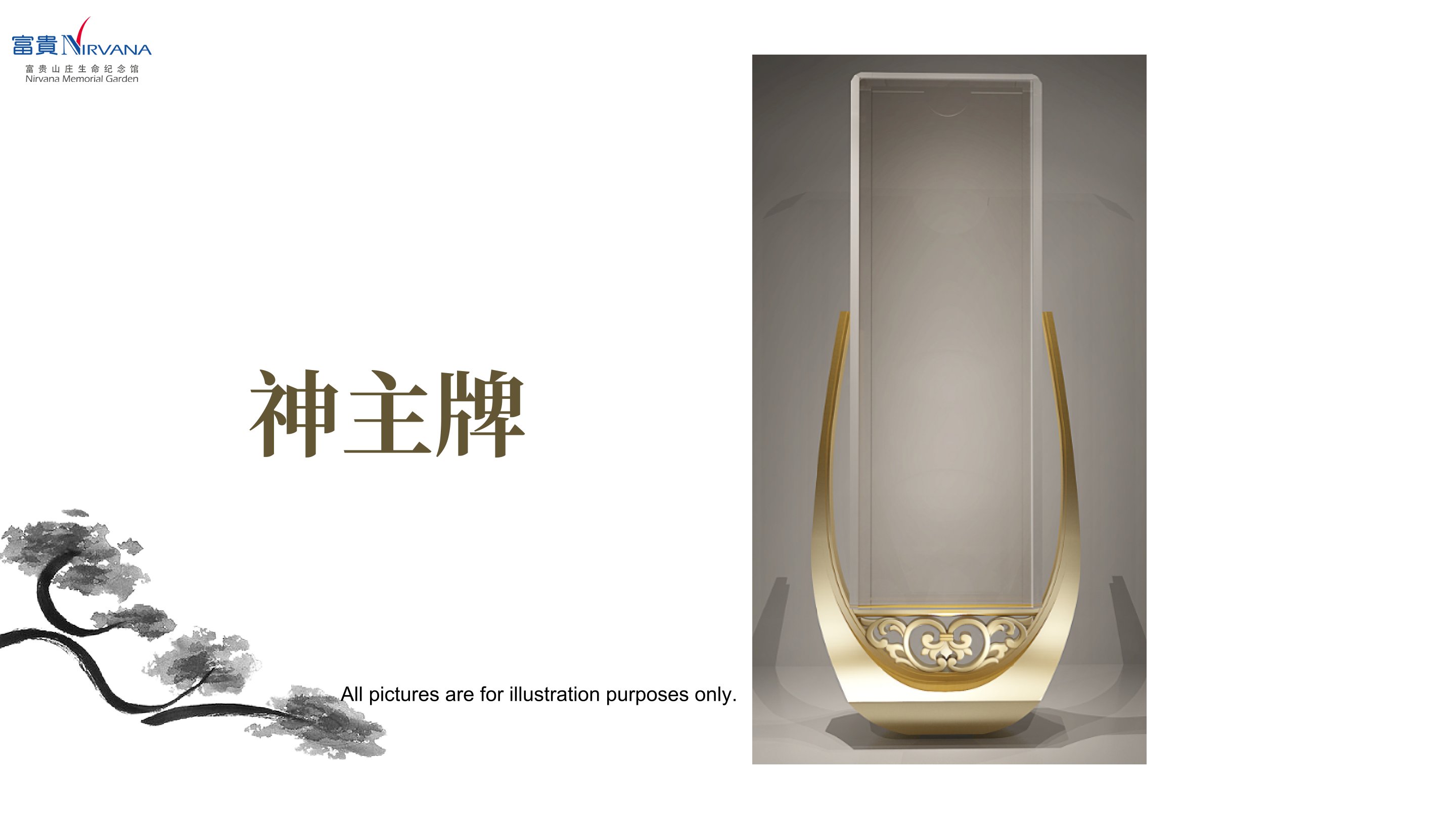 /latest/new-launch-87/13.jpg